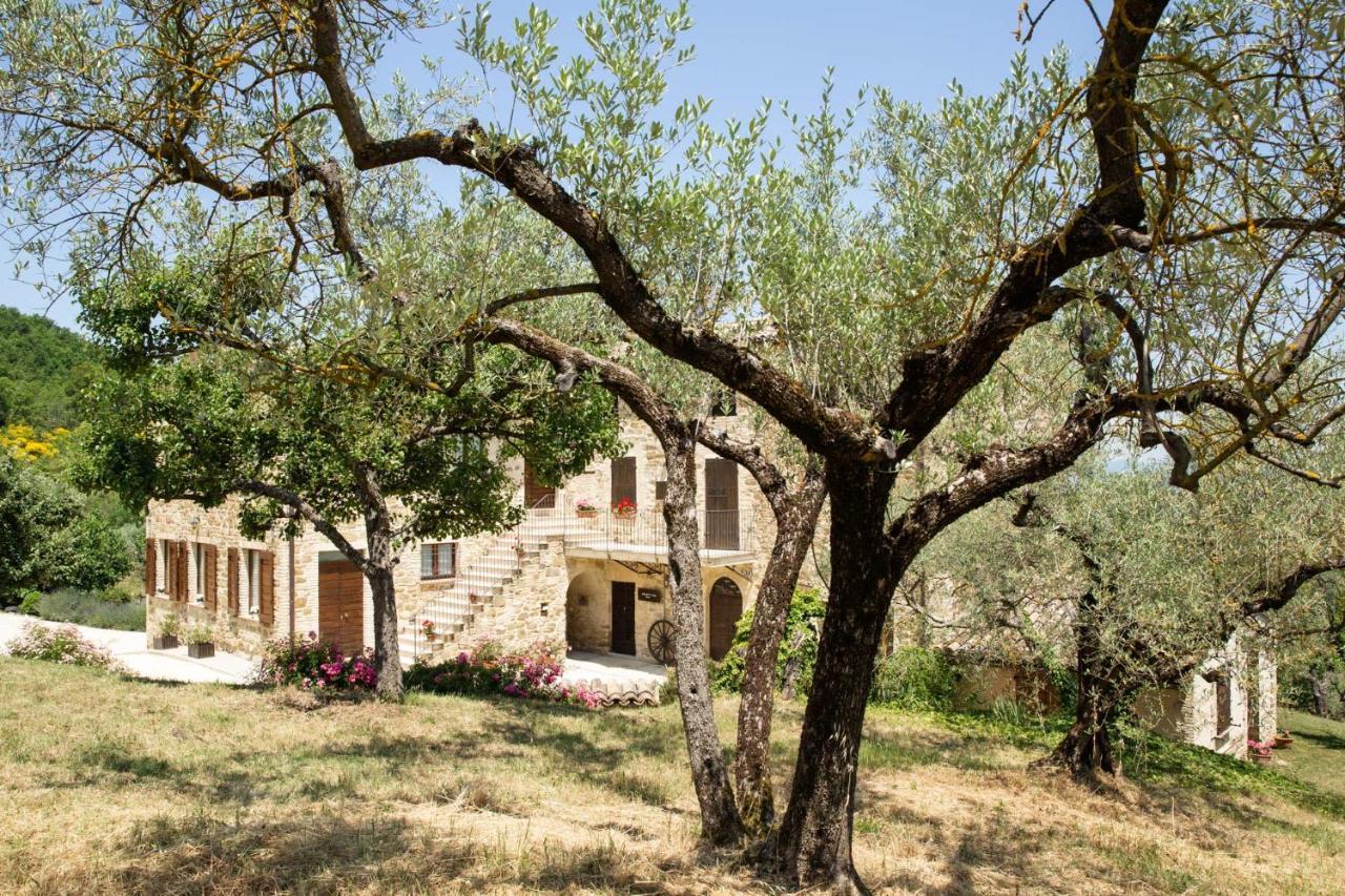 Villa Colle Di Rocco Limigiano Ngoại thất bức ảnh