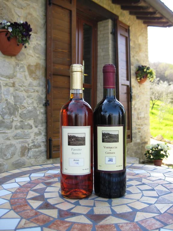 Villa Colle Di Rocco Limigiano Ngoại thất bức ảnh